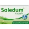 SOLEDUM Cápsulas gastro-resistentes de 100 mg, 100 unidades