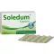 SOLEDUM Cápsulas gastro-resistentes de 100 mg, 100 unidades