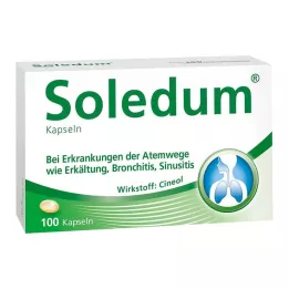 SOLEDUM Cápsulas gastro-resistentes de 100 mg, 100 unidades