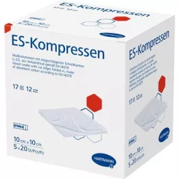 ES-KOMPRESSEN embalagem esterilizada de 10x10 cm 12x, 5X20 unidades