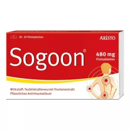 SOGOON 480 mg comprimidos revestidos por película, 20 unidades