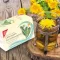 H&S Saco de filtro Dandelion, 20X2,0 g