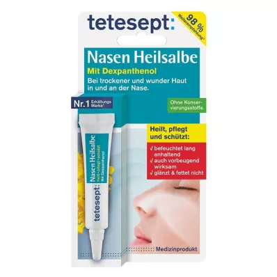 Pomada curativa nasal Tetesept, 5 g Pomada curativa nasal Tetesept, 5 g