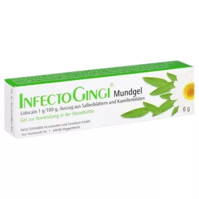 INFECTOGINGI Gel oral, 6 g