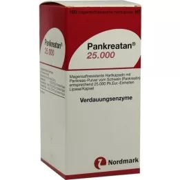 PANKREATAN 25.000 cápsulas duras gastro-resistentes, 100 unidades