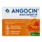 ANGOCIN Anti Infekt N comprimidos revestidos por película, 100 unid