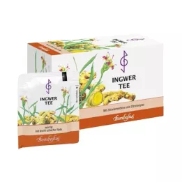 INGWER TEE Saco de filtro, 20X2 g