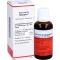 UVA URSI N Oligoplex Liquidum, 50 ml