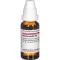 ACTAEA SPICATA Diluição D 6, 20 ml