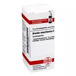 ARUNDO mauritanica C 30 glóbulos, 10 g