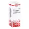 ASTERIAS RUBENS Diluição D 6, 20 ml