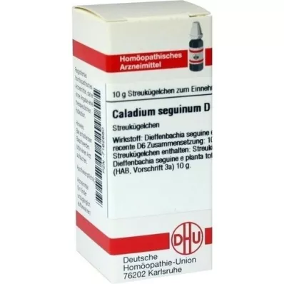 CALADIUM seguinum D 6 glóbulos, 10 g