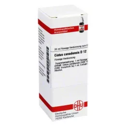 CISTUS CANADENSIS Diluição D 12, 20 ml