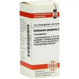 ECHINACEA PURPUREA D 6 glóbulos, 10 g