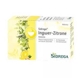 SIDROGA Bolsa de filtro para chá de gengibre e limão Wellness, 20X2,0 g