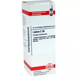 LEDUM Diluição C 30, 20 ml