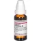 PALLADIUM METALLICUM Diluição D 8, 20 ml