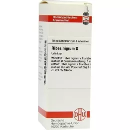 RIBES NIGRUM Tintura-mãe, 20 ml