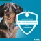 Coleira Kiltix para cães pequenos, 1 peça