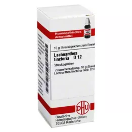 LACHNANTHES tinctoria D 12 glóbulos, 10 g