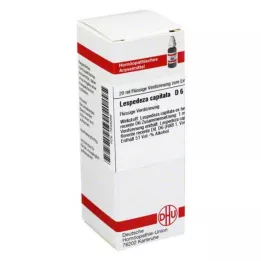 LESPEDEZA CAPITATA Diluição D 6, 20 ml