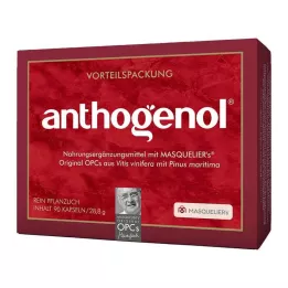 OPC ORIGINAL Masqueliers Anthogenol Capsules, 90 Cápsulas