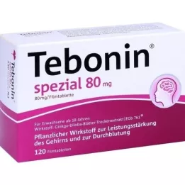 TEBONIN Comprimidos revestidos por película especiais de 80 mg, 120 unidades