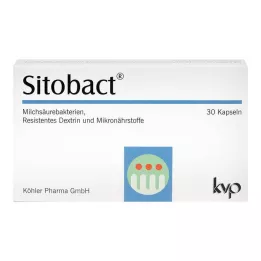 Cápsulas de Sitobact, 30 unidades