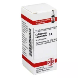 COLLINSONIA CANADENSIS D 4 glóbulos, 10 g