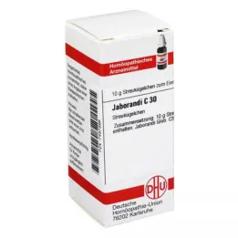 JABORANDI C 30 glóbulos, 10 g