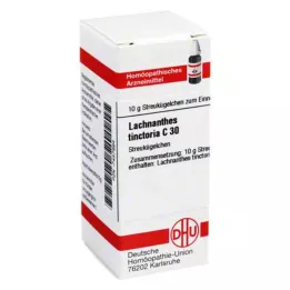 LACHNANTHES tinctoria C 30 glóbulos, 10 g