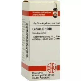 LEDUM D 1000 glóbulos, 10 g