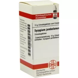 SYZYGIUM JAMBOLANUM D 6 glóbulos, 10 g