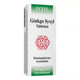 GINKGO SYXYL Comprimidos, 120 unidades