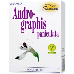 ANDROGRAPHIS cápsulas de paniculata, 60 unid
