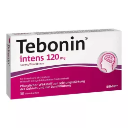 TEBONIN intens 120 mg comprimidos revestidos por película, 30 unid