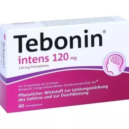 TEBONIN Intens 120 mg comprimidos revestidos por película, 60 unidades