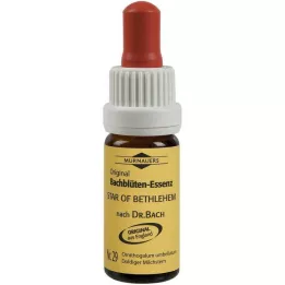 BACHBLÜTEN Murnauer Star of Bethlehem gotas, 20 ml