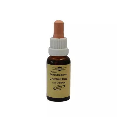 Flores de Bach Murnauer gotas Chestnut Bud, 20 ml
