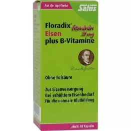 FLORADIX Cápsulas de ferro e vitaminas B, 40 unidades