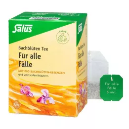 BACHBLÜTEN TEE Para todos os casos, pastilhas de filtro Salus orgânicas, 15 unidades