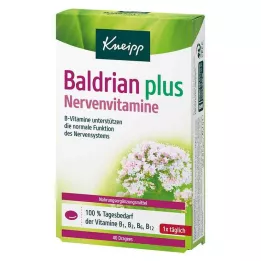 KNEIPP Valeriana e vitaminas para os nervos, comprimidos revestidos, 40 unid