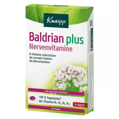 Kneipp Valerian mais drageias de vitaminas nervosas, 40 peças Kneipp Valerian mais drageias de vitaminas nervosas, 40 peças