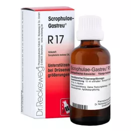 SCROPHULAE-Mistura Gastreu R17, 50 ml