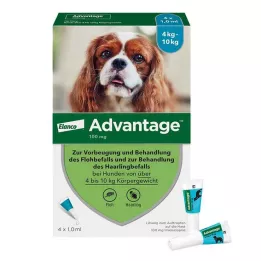 ADVANTAGE 100 solução para cães 4-10 kg, 4 pcs