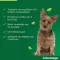 ADVANTAGE 100 solução para cães 4-10 kg, 4 pcs