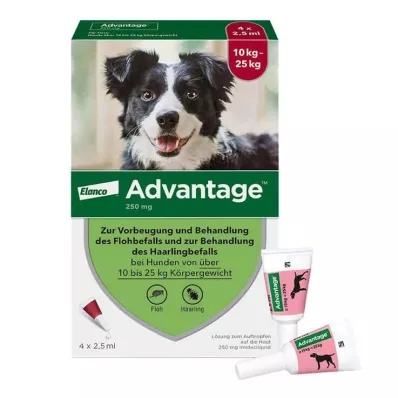 ADVANTAGE 250 solução para cães 10-25 kg, 4 pcs ADVANTAGE 250 solução para cães 10-25 kg, 4 pcs