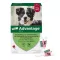 ADVANTAGE 250 solução para cães 10-25 kg, 4 pcs