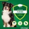 ADVANTAGE 250 solução para cães 10-25 kg, 4 pcs
