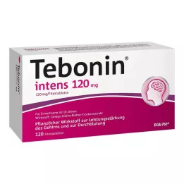 TEBONIN intens 120 mg comprimidos revestidos por película, 120 unid
